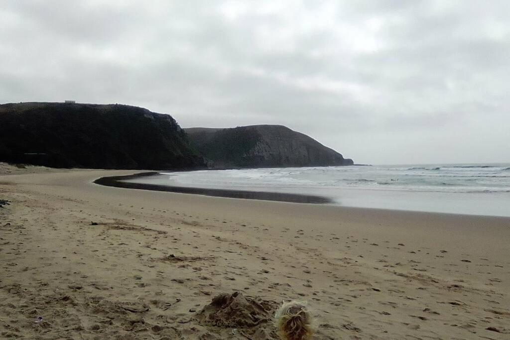 Wildview Self Catering Cottages Coffee Bay, Breakfast & Wi-Fi Inc Zewnętrze zdjęcie