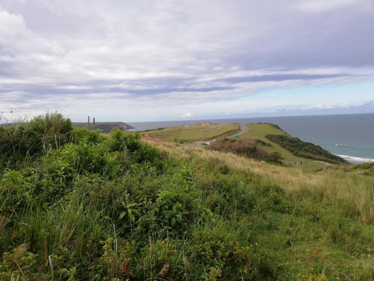 Wildview Self Catering Cottages Coffee Bay, Breakfast & Wi-Fi Inc Zewnętrze zdjęcie