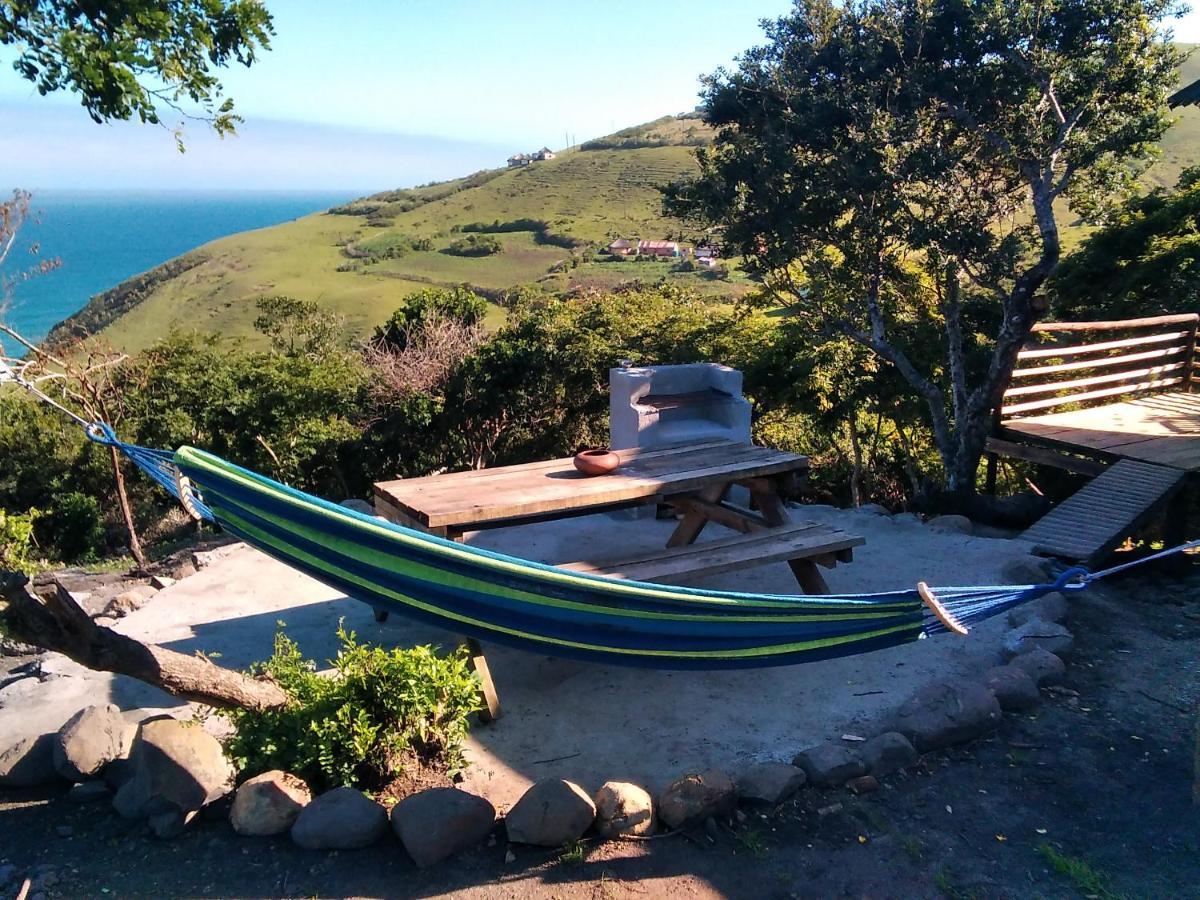 Wildview Self Catering Cottages Coffee Bay, Breakfast & Wi-Fi Inc Zewnętrze zdjęcie