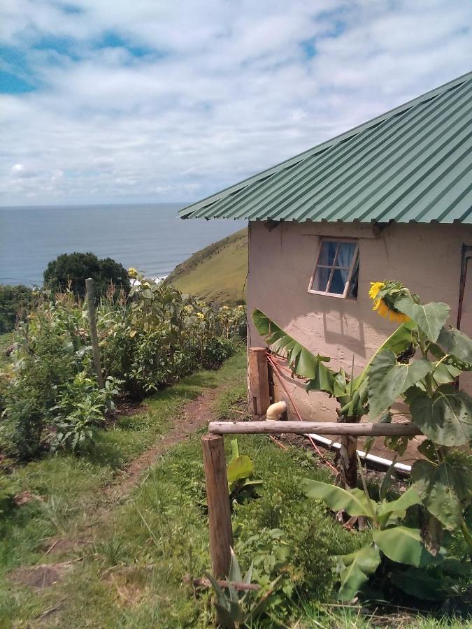 Wildview Self Catering Cottages Coffee Bay, Breakfast & Wi-Fi Inc Zewnętrze zdjęcie